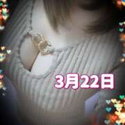 ヒメ日記 2025/03/22 14:34 投稿 あきら 癒 -いやし‐