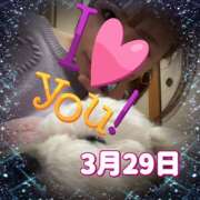 ヒメ日記 2025/03/29 14:50 投稿 あきら 癒 -いやし‐