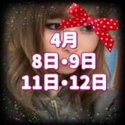 ヒメ日記 2025/04/08 14:30 投稿 あきら 癒 -いやし‐