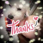 ヒメ日記 2025/10/11 14:24 投稿 あきら 癒 -いやし‐