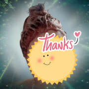 ヒメ日記 2025/11/12 14:38 投稿 あきら 癒 -いやし‐