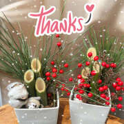 ヒメ日記 2025/12/29 14:48 投稿 あきら 癒 -いやし‐