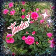 ヒメ日記 2026/04/27 13:38 投稿 あきら 癒 -いやし‐