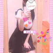 ヒメ日記 2025/02/09 07:24 投稿 シュウ シークレットタッチ