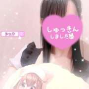 ヒメ日記 2026/03/27 15:49 投稿 シュウ シークレットタッチ