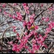 ヒメ日記 2025/02/28 10:54 投稿 諸星つきみ 熟女デリヘル倶楽部