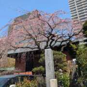 ヒメ日記 2025/03/25 12:48 投稿 諸星つきみ 熟女デリヘル倶楽部