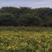 ヒメ日記 2025/05/13 13:39 投稿 諸星つきみ 熟女デリヘル倶楽部