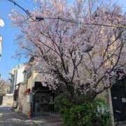 ヒメ日記 2026/03/25 10:52 投稿 諸星つきみ 熟女デリヘル倶楽部