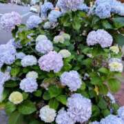 ゆみ ありがとう♡ 豊満倶楽部