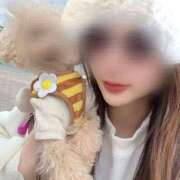 ヒメ日記 2025/11/02 16:39 投稿 りん 夕月