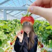 ヒメ日記 2026/04/02 22:34 投稿 りん 夕月