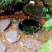 ヒメ日記 2024/12/22 09:47 投稿 東山けいこ 熟女デリヘル倶楽部