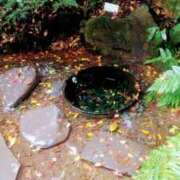 ヒメ日記 2025/02/01 09:16 投稿 東山けいこ 熟女デリヘル倶楽部