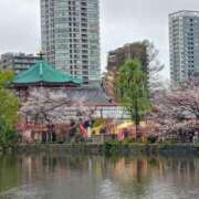 ヒメ日記 2025/04/10 09:37 投稿 東山けいこ 熟女デリヘル倶楽部