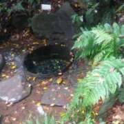 ヒメ日記 2025/05/16 09:39 投稿 東山けいこ 熟女デリヘル倶楽部