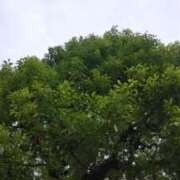 ヒメ日記 2025/05/19 09:59 投稿 東山けいこ 熟女デリヘル倶楽部