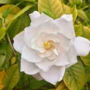 ヒメ日記 2025/06/27 09:28 投稿 東山けいこ 熟女デリヘル倶楽部