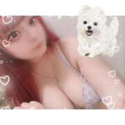 ヒメ日記 2026/02/09 13:42 投稿 むく 君とふわふわプリンセスin立川