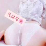 ヒメ日記 2026/04/22 16:05 投稿 えはな 多恋人倶楽部（山口）