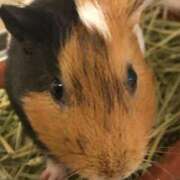 ヒメ日記 2025/02/20 23:16 投稿 える ぷよステーション 蒲田店