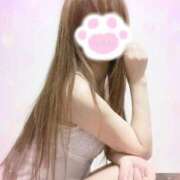 ヒメ日記 2026/02/19 20:53 投稿 ねこ 熟女の風俗最終章 新潟店