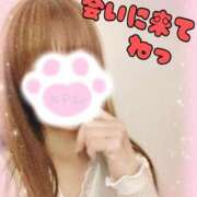 ヒメ日記 2026/03/18 16:53 投稿 ねこ 熟女の風俗最終章 新潟店