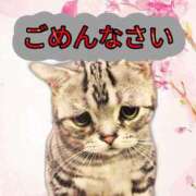 ヒメ日記 2026/04/16 17:33 投稿 ねこ 熟女の風俗最終章 新潟店