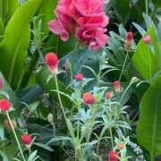 ヒメ日記 2026/04/18 19:13 投稿 ねこ 熟女の風俗最終章 新潟店