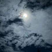 ヒメ日記 2024/12/29 08:39 投稿 なぎさ 鹿児島ちゃんこ霧島店