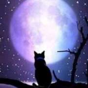 ヒメ日記 2025/01/04 09:00 投稿 なぎさ 鹿児島ちゃんこ霧島店