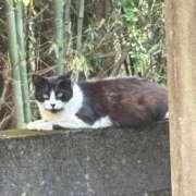 ヒメ日記 2025/03/30 12:49 投稿 なぎさ 鹿児島ちゃんこ霧島店