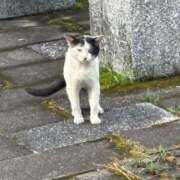 ヒメ日記 2025/08/09 08:29 投稿 なぎさ 鹿児島ちゃんこ霧島店