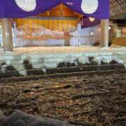 ヒメ日記 2025/01/01 20:03 投稿 ひめ シークレットサービス