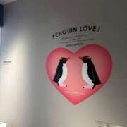 ヒメ日記 2025/04/21 22:19 投稿 ひめ シークレットサービス