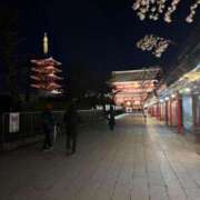 ひめ 風強すぎた🌬️ シークレットサービス