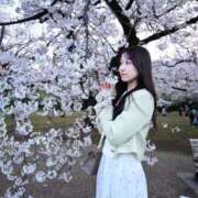 ヒメ日記 2025/05/06 18:18 投稿 めぐみ PHANTOM(ファントム)