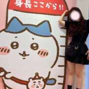 ヒメ日記 2025/06/18 15:31 投稿 もな 新小岩デリヘル ラブセレクション