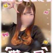 ヒメ日記 2026/02/22 00:46 投稿 もな 新小岩デリヘル ラブセレクション