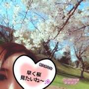 ヒメ日記 2025/03/21 19:48 投稿 和久井　なな リラクゼーションサロン　le Cocon～ルココン～