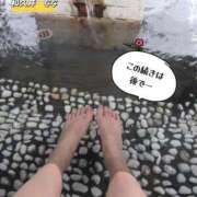 ヒメ日記 2025/04/16 19:18 投稿 和久井　なな リラクゼーションサロン　le Cocon～ルココン～