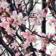 ヒメ日記 2025/04/27 18:48 投稿 和久井　なな リラクゼーションサロン　le Cocon～ルココン～