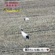 ヒメ日記 2025/05/06 18:42 投稿 和久井　なな リラクゼーションサロン　le Cocon～ルココン～