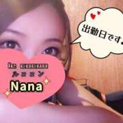 ヒメ日記 2025/05/29 17:42 投稿 和久井　なな リラクゼーションサロン　le Cocon～ルココン～