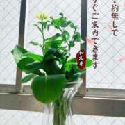 ヒメ日記 2025/05/31 19:42 投稿 和久井　なな リラクゼーションサロン　le Cocon～ルココン～