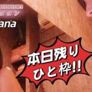 ヒメ日記 2025/06/19 20:27 投稿 和久井　なな リラクゼーションサロン　le Cocon～ルココン～