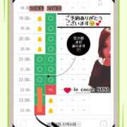 ヒメ日記 2025/06/28 19:18 投稿 和久井　なな リラクゼーションサロン　le Cocon～ルココン～