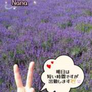 ヒメ日記 2025/07/19 23:54 投稿 和久井　なな リラクゼーションサロン　le Cocon～ルココン～