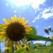 ヒメ日記 2025/08/15 18:33 投稿 和久井　なな リラクゼーションサロン　le Cocon～ルココン～