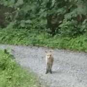 ヒメ日記 2025/09/30 15:51 投稿 和久井　なな リラクゼーションサロン　le Cocon～ルココン～